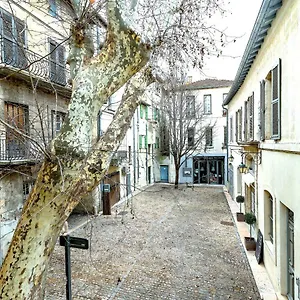 Studios Entre Le Pont D' Et Le Palais Des Papes Avignone